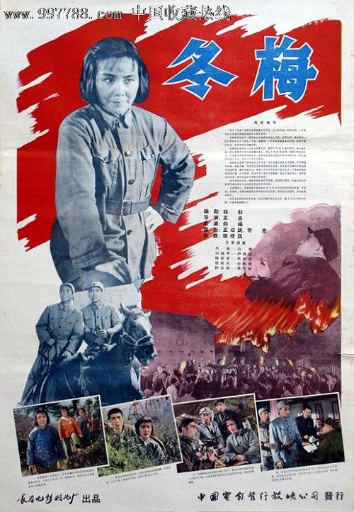 国际驾照可以换澳洲驾照吗